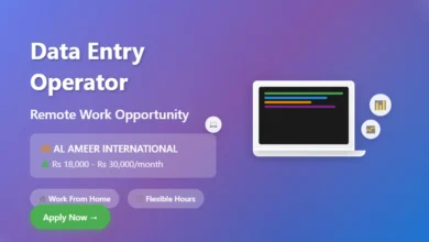 Data Entry Operator Jobs - Work from Home