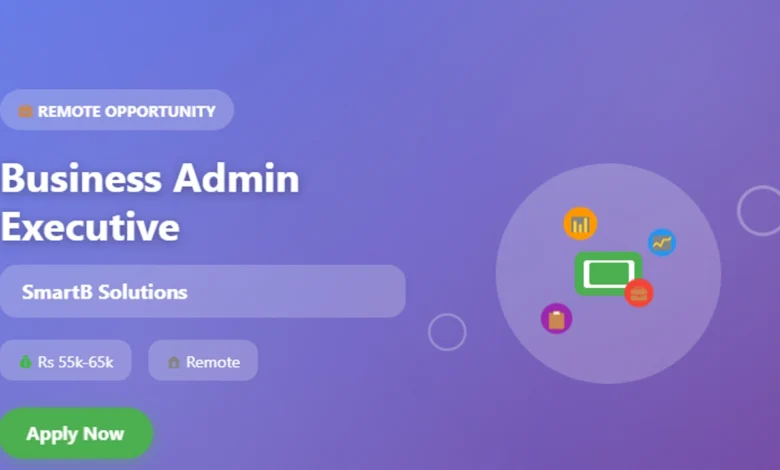 Remote Business Admin Executive Job