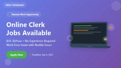 Remote Online Clerk Jobs No Experience
